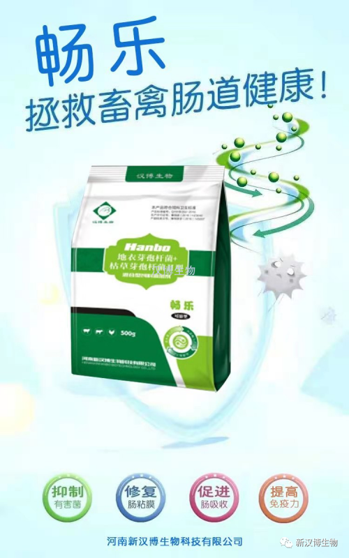 飼料禁抗后，斷奶仔豬腹瀉問題將更為嚴重，養(yǎng)豬人如何應(yīng)對